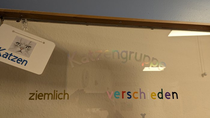 PXL_20251117_150410821.jpg PXL_20251117_150410821.jpg